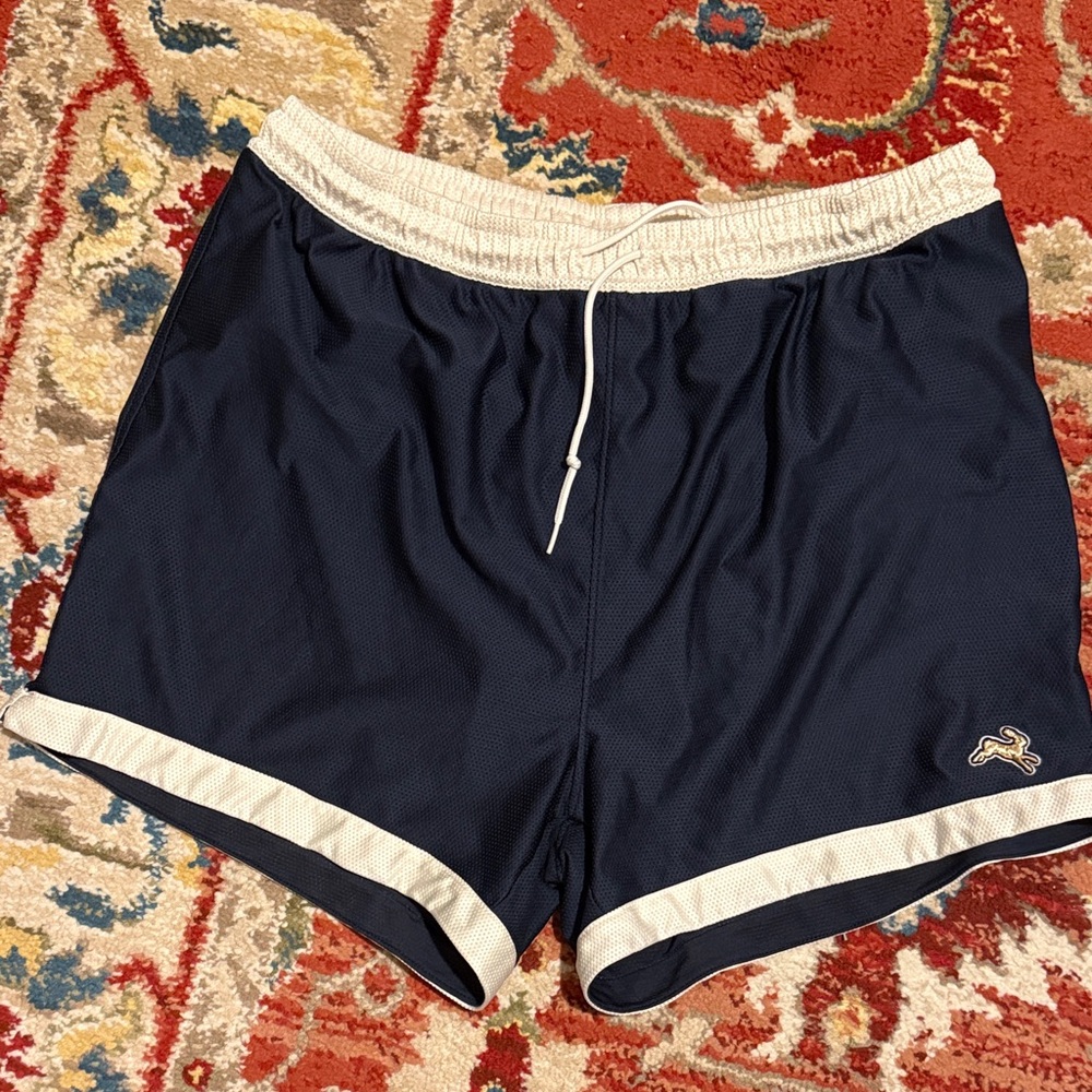 Tracksmith Navy and White Athletic Shorts